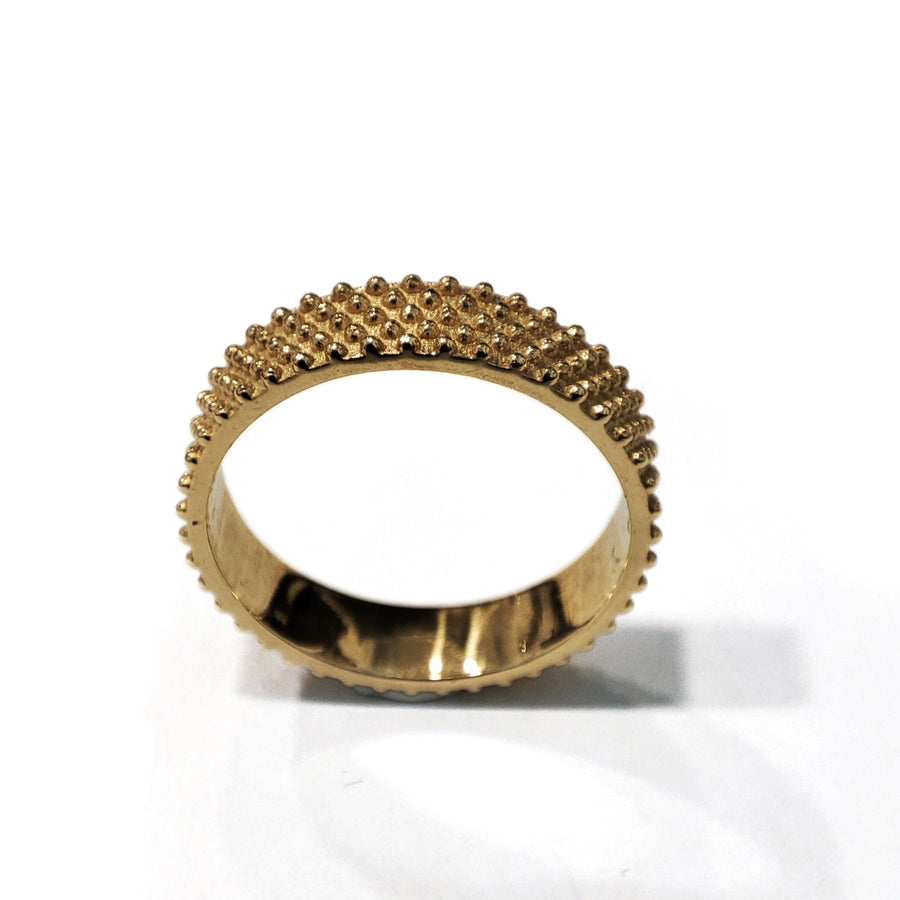 Anello Fascia Pallini