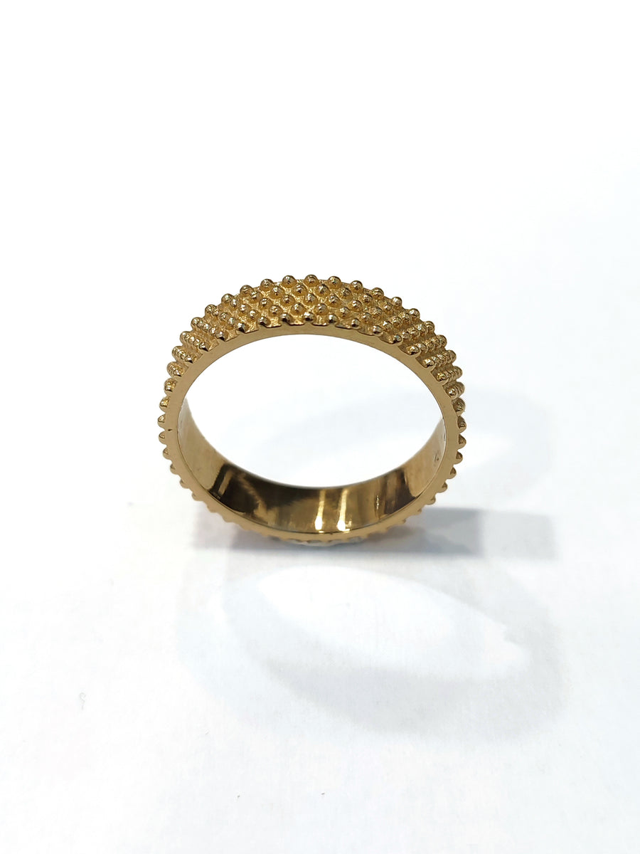 Anello Fascia Pallini
