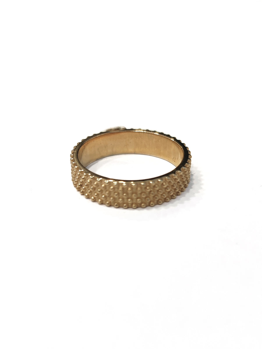 Anello Fascia Pallini